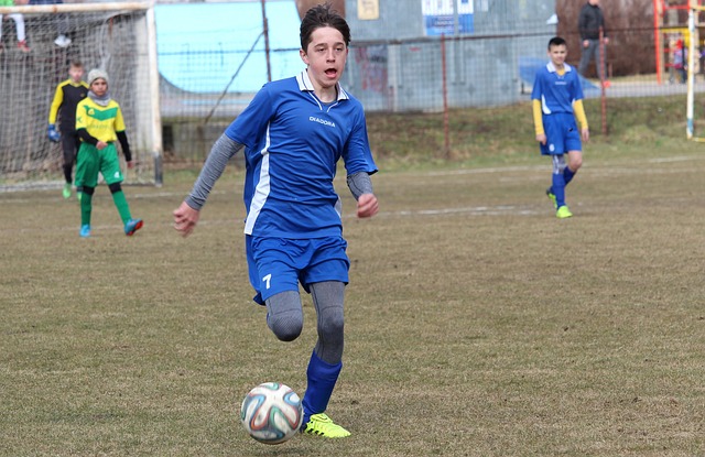 如果能够在 如果能够在