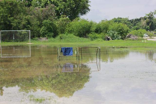 这位年轻中 这位年轻中