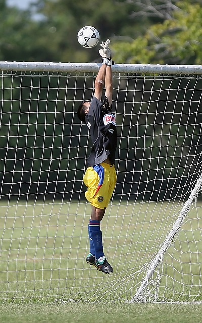 文化复兴 文化复兴