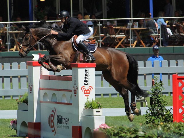 了个人能力 了个人能力