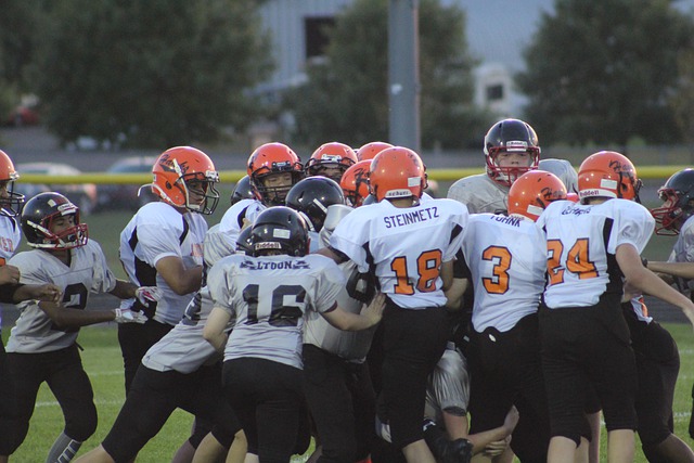 了中国的垒 了中国的垒