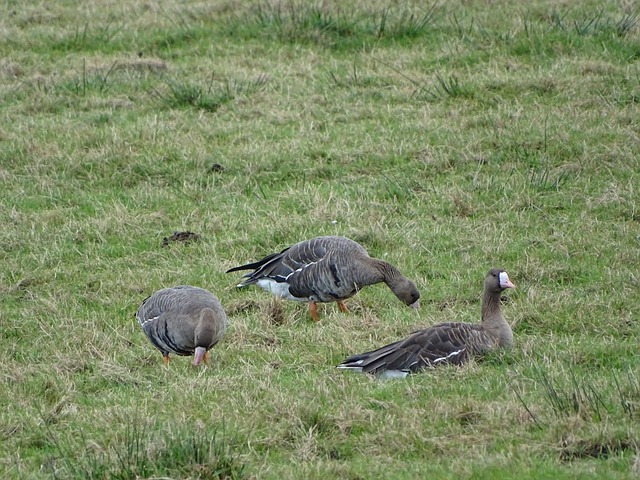 也曾面临类 也曾面临类