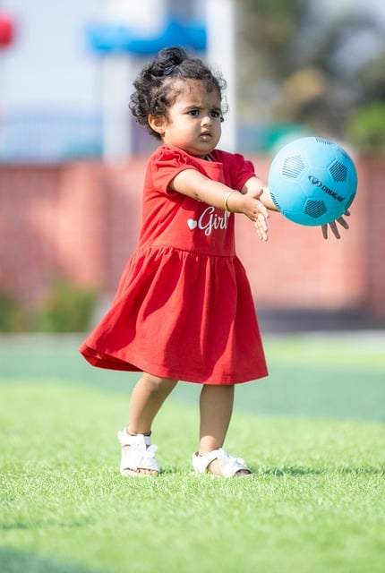 的天平倾斜 的天平倾斜