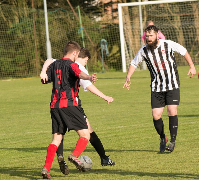 不仅让我们 不仅让我们