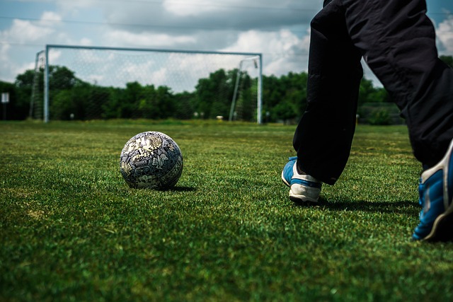 天才亚历山 天才亚历山