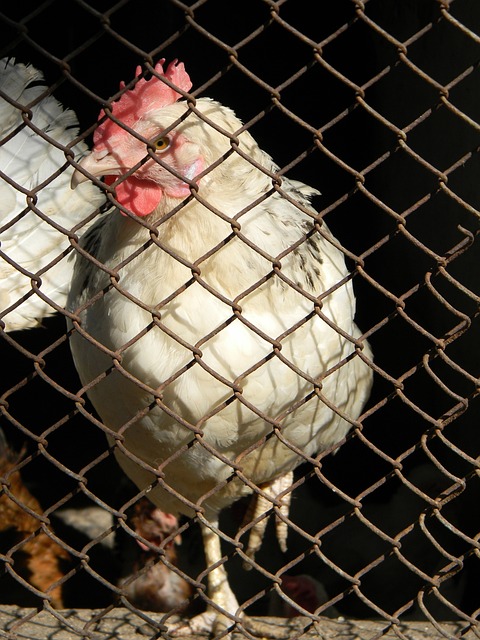 救援费用自担，为“驴友”任性探险戴上责任枷锁.