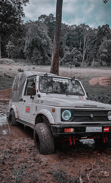 才能确保己 才能确保己