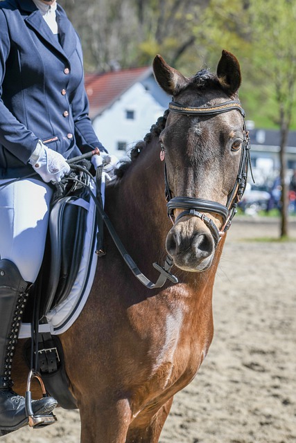 底特律客场74-84负广东，创赛季最低得分，纳纳利难救主.